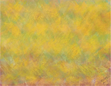 Joyful Awakening