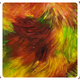 Rhythm Of Your Energy - Coaster